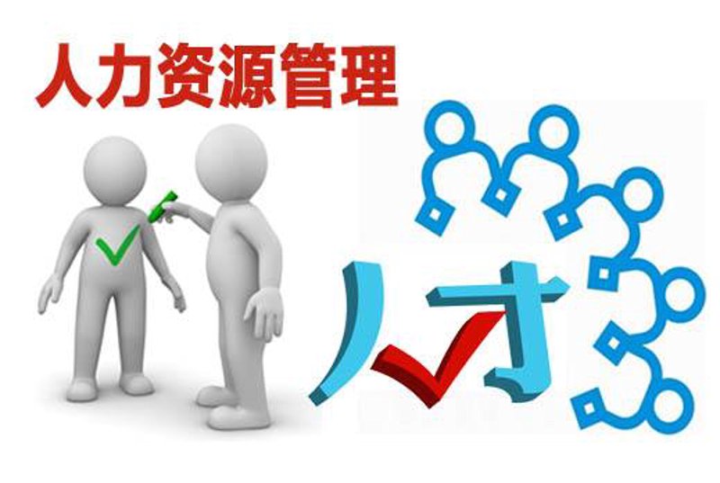 如何选择适合的小时工?——通过对比不同服务的优势与劣势